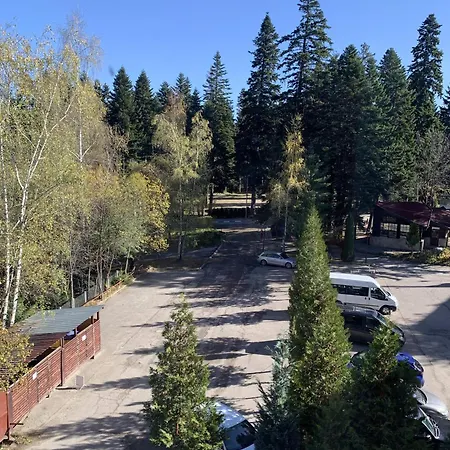 Rivendell Flora Complex * Боровец
