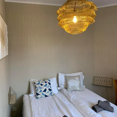 Rivendell Flora Complex Borovets