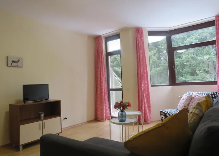 Rivendell Flora Complex Apartment Borovets