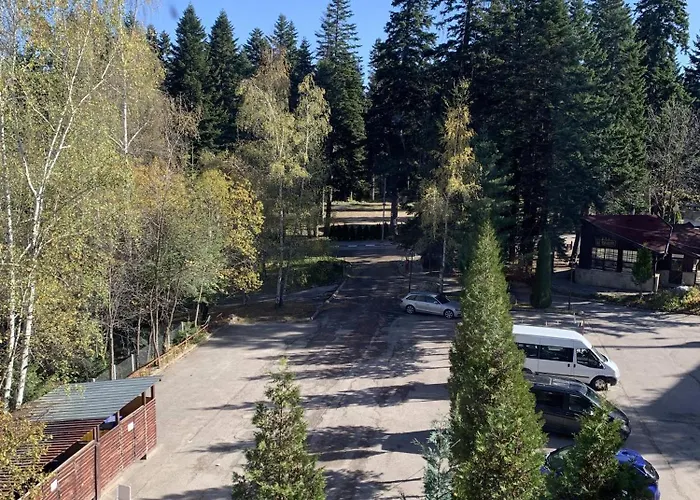 Rivendell Flora Complex * Borovets